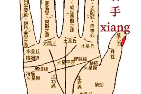 掌心痣的秘密：手相中的财运密码