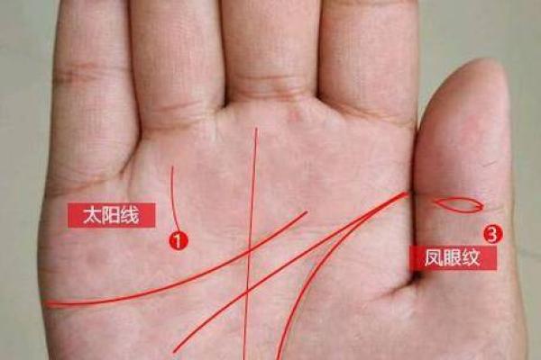 宝宝手相大揭秘：看手掌识未来，宝宝的命运早注定？