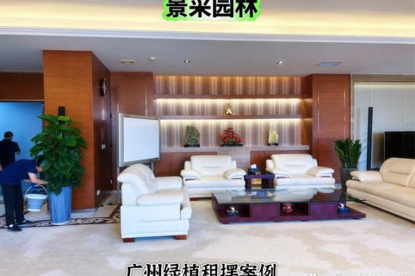 风水绿植租赁，广州办公室生机盎然