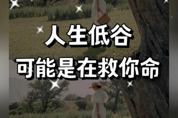 流年命理揭秘：看这一篇，助你规避人生低谷，走向辉煌！