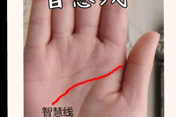 手相识人术：教你轻松看透命运的秘密！