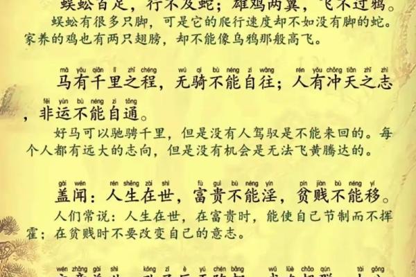 走近雁的世界：从传统文化看雁的象征意义