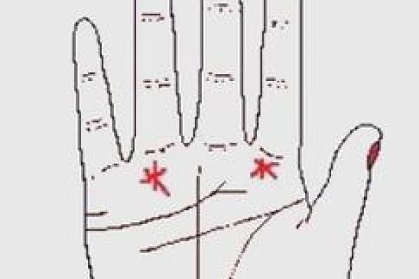 星座手相揭秘：未来运势一手掌握