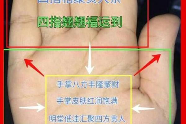 星座手相揭秘：未来运势一手掌握