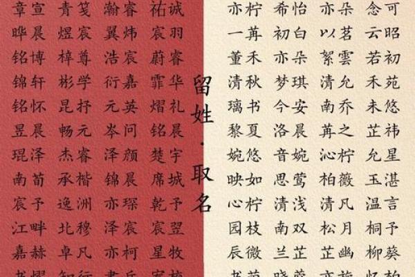 精彩2019，宝宝名字创意无限：寓意吉祥，彰显个性
