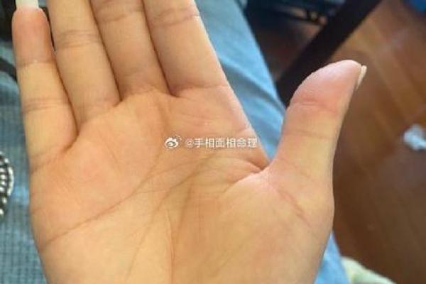 解锁神秘面相密码，手相揭秘人生轨迹