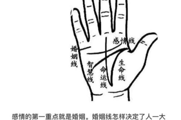 解锁神秘面相密码，手相揭秘人生轨迹