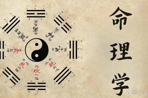 掌握水学全集视频的技巧提升生活运势