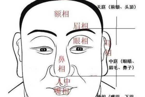 痣相长胡子：男子气概的秘密所在