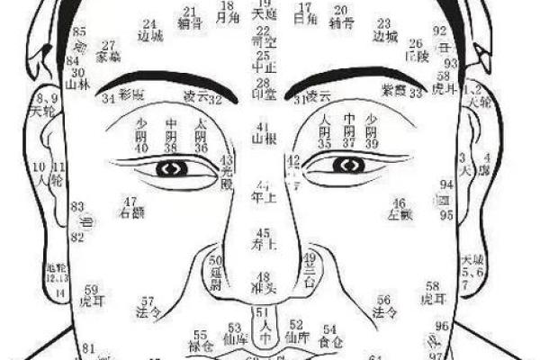 眉心白毛预示的神秘面相之谜