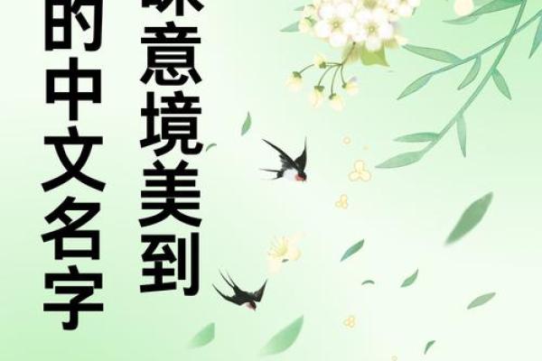 北京顶级起名公司，赋予您的名字无限能量