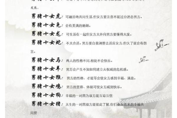 猪宝宝起名大公开，免费好名字等你来取！