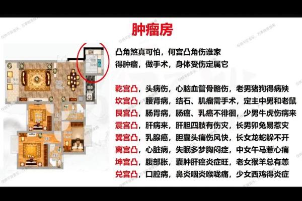 掌握易经风水学，提升居住环境的能量