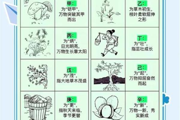 古代智慧结晶天干地支计算方法，带你领略千年文化