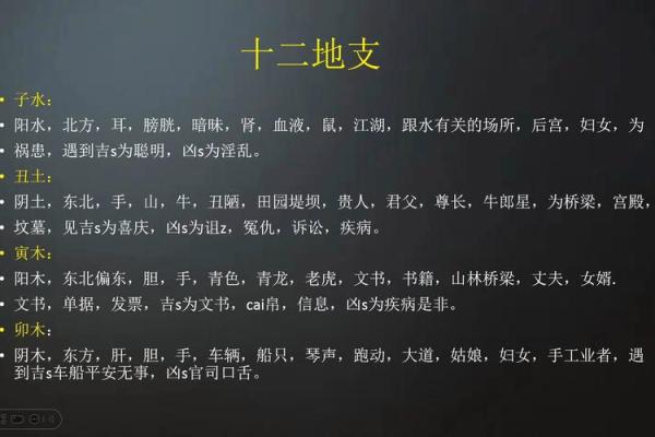 酉丑地支搭配：揭示其中隐藏的神秘寓意