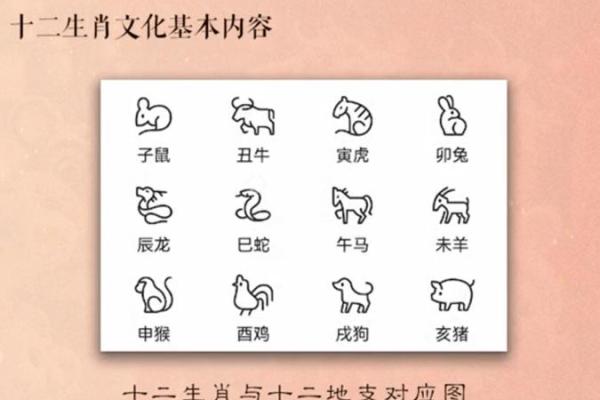 酉丑地支搭配：揭示其中隐藏的神秘寓意