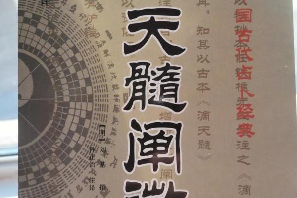 八字精解：易海莲华带你探索命理奥秘，解锁人生密码