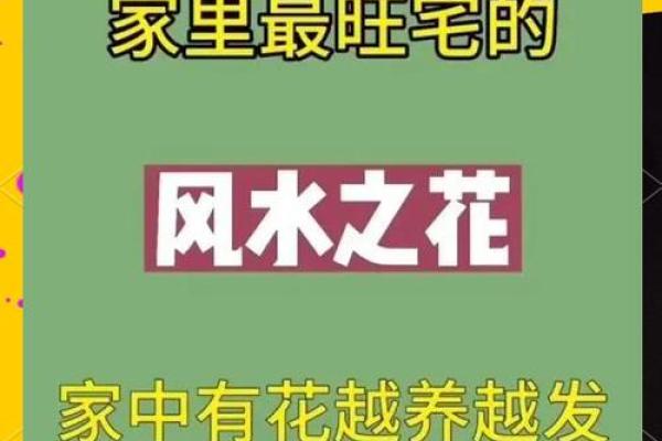 轻松打造风水旺宅，家居比赛爆款秘籍大公开