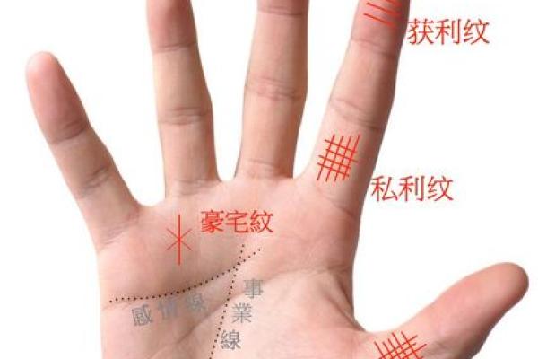 离婚女手的秘密：揭示婚姻背后的命运线