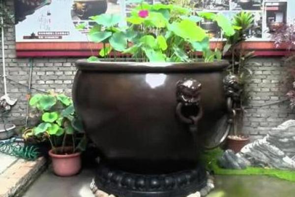 家中必备风水宝物：水缸布局让你财运亨通