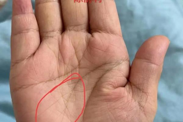 手相大师揭秘：智慧线分叉背后的惊人秘密，你了解多少？