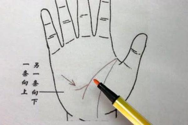 手相大师揭秘：智慧线分叉背后的惊人秘密，你了解多少？