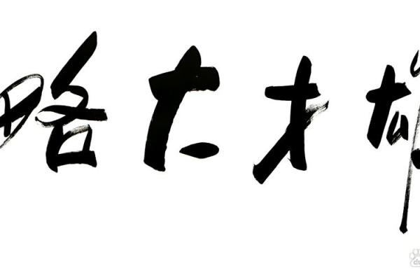 翔字为公司命名注入力量与远大志向