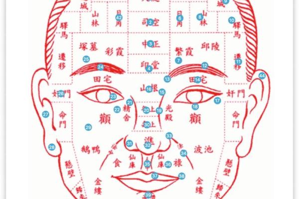 脸部痣相图解：美丽痣相的运势与魅力解析