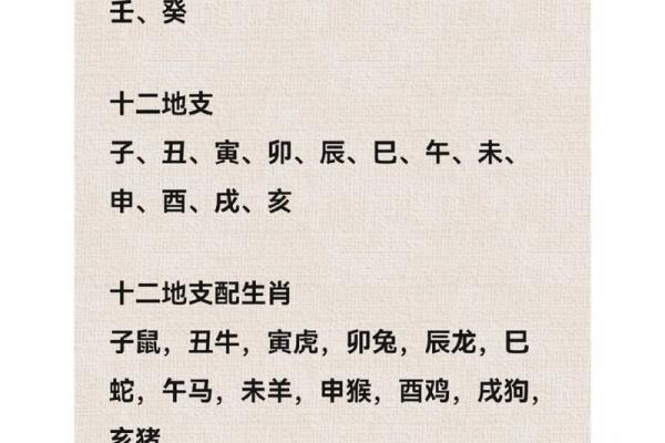 十干十二支五行图，解锁命理风水秘密