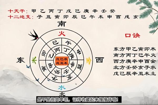 十干十二支五行图，解锁命理风水秘密