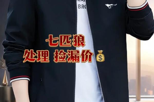 七匹狼的成功密码：如何塑造中国男装的经典品牌