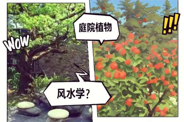 环境风水学丛书的奥秘与实践探索