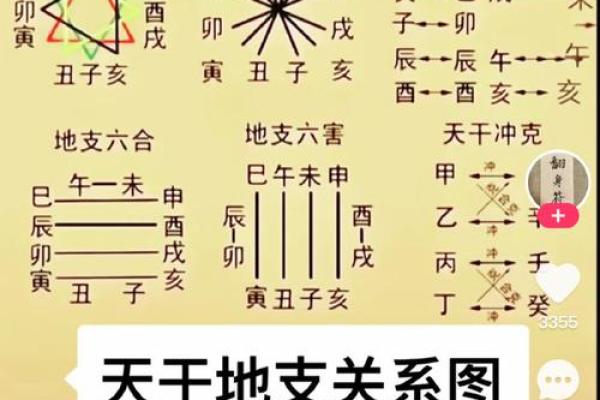 天干地支速算秘籍，轻松掌握个人命理