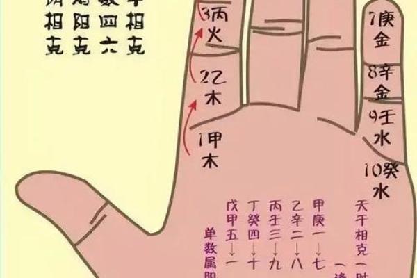 天干地支速算秘籍，轻松掌握个人命理
