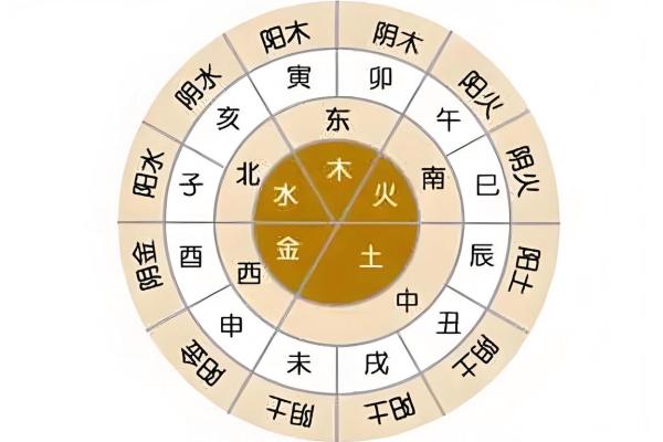 地支之间的五行奥秘全解析