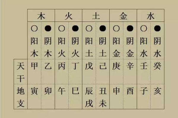 地支之间的五行奥秘全解析