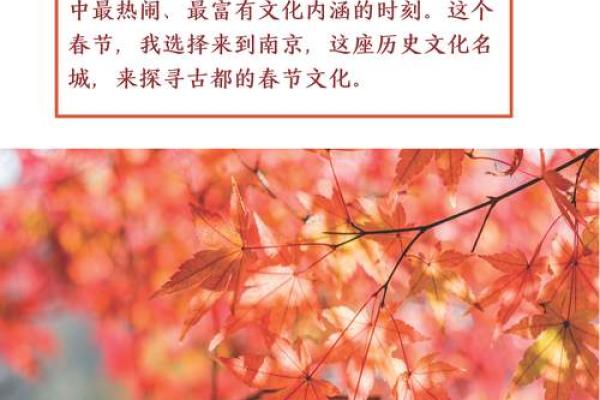 欢庆七月十日：探寻传统节日的现代魅力
