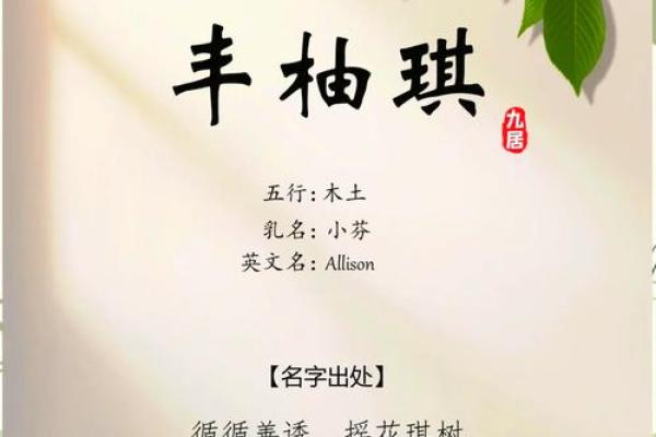 丰姓男孩名字：寓意美好，独具特色