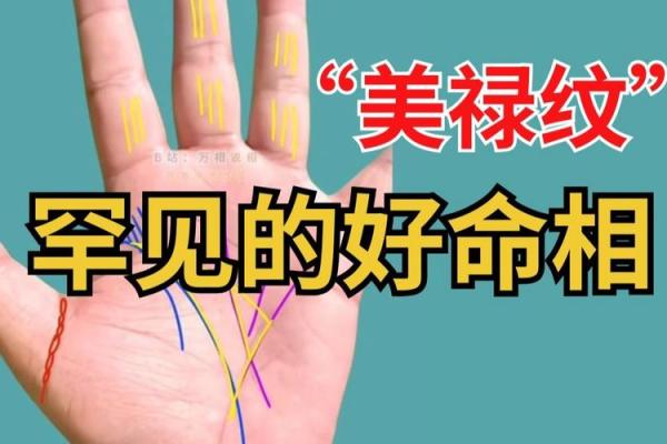 手相识女人：揭秘女性命运脉动的关键密码