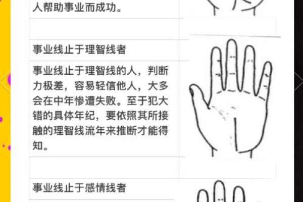 手相之谜：核心区域深度解析，解锁人生密码