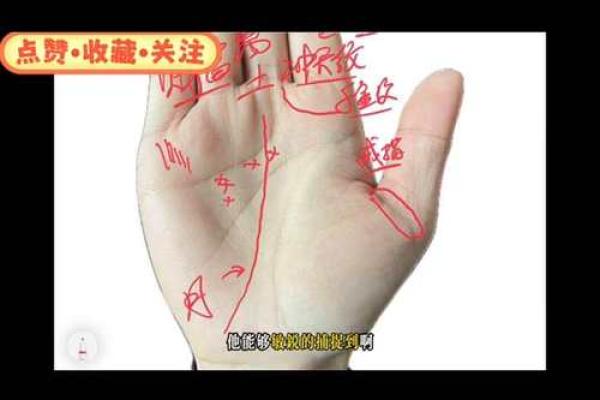 手相之谜：核心区域深度解析，解锁人生密码