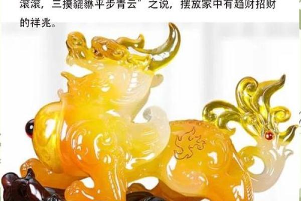 麒麟家居风水布局，财运亨通秘诀大公开