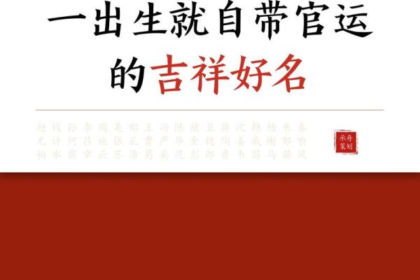 猪宝宝吉祥名：创意起名攻略分享