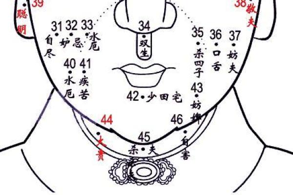 男士面相痣相深度解读：哪些痣是财运亨通的象征？