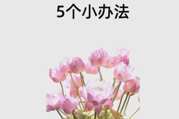 惊！办公室风水硬币测试，揭秘你的财运与事业走向！
