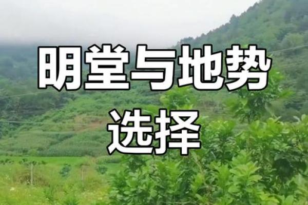 风水专家教你：城市墓地选址技巧与注意事项