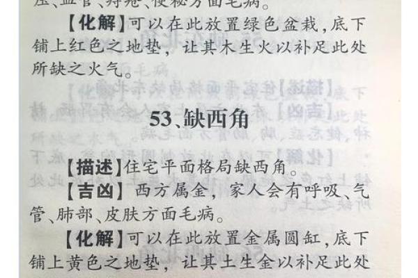 办公室风水秘籍：如何布局让气运亨通