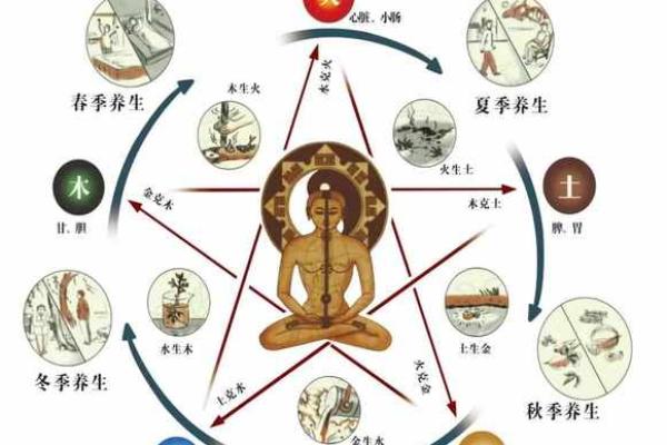 解密中医算命与风水学的相互关系