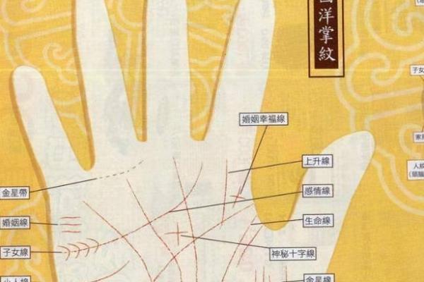 掌纹密码：揭秘手掌横纹的神奇力量