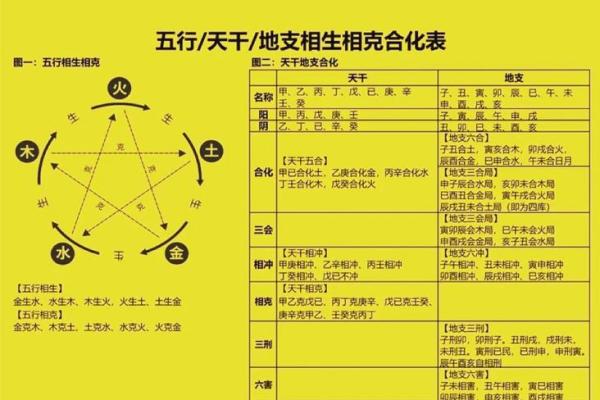生肖相克不再怕：地支合杀破解秘籍大公开
